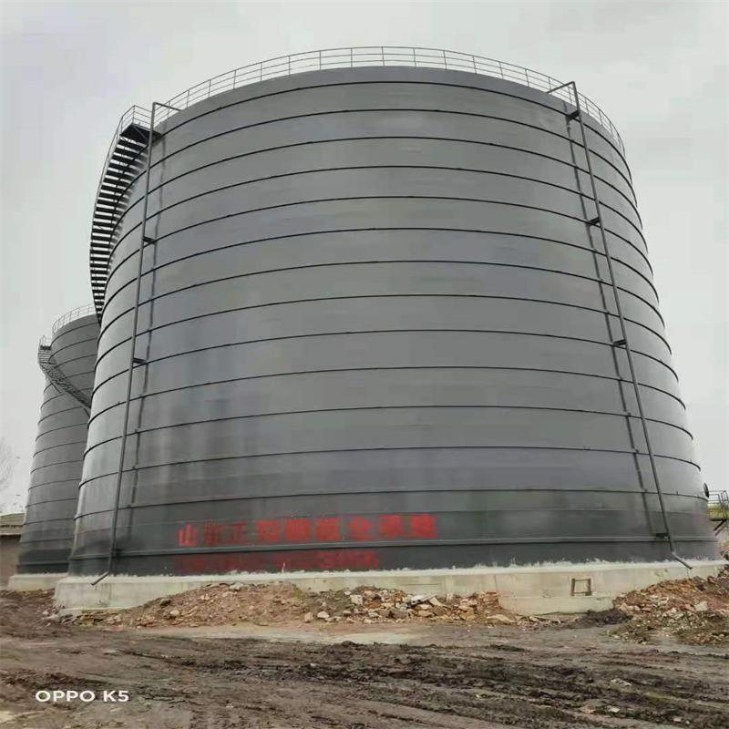 千家镇3万吨大型钢板库